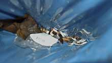 Cigaretskod i affaldsposen fra torsdag aften